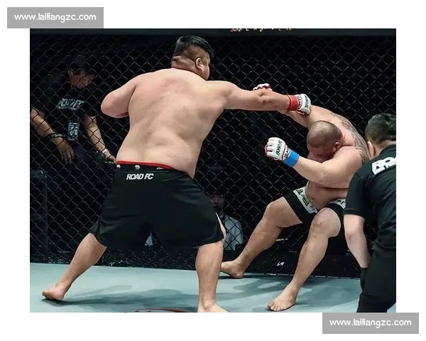 敖日格勒对决鲍勃萨普力量与技巧巅峰碰撞之战全解析擂台传奇